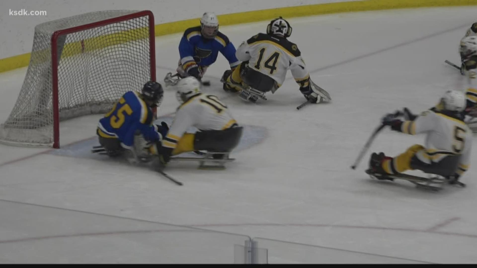 The 10th Annual USA Hockey Sled Classic took place in St. Louis.