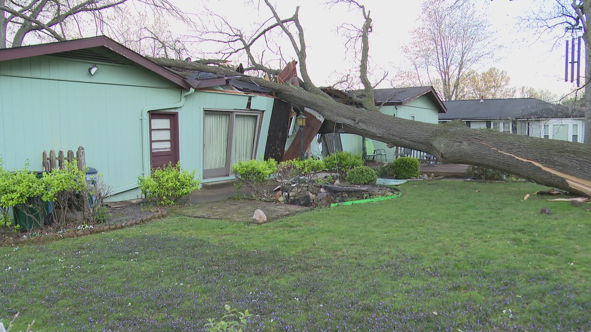 Elderly man taken to the hospital after tree crashes into his home in ...