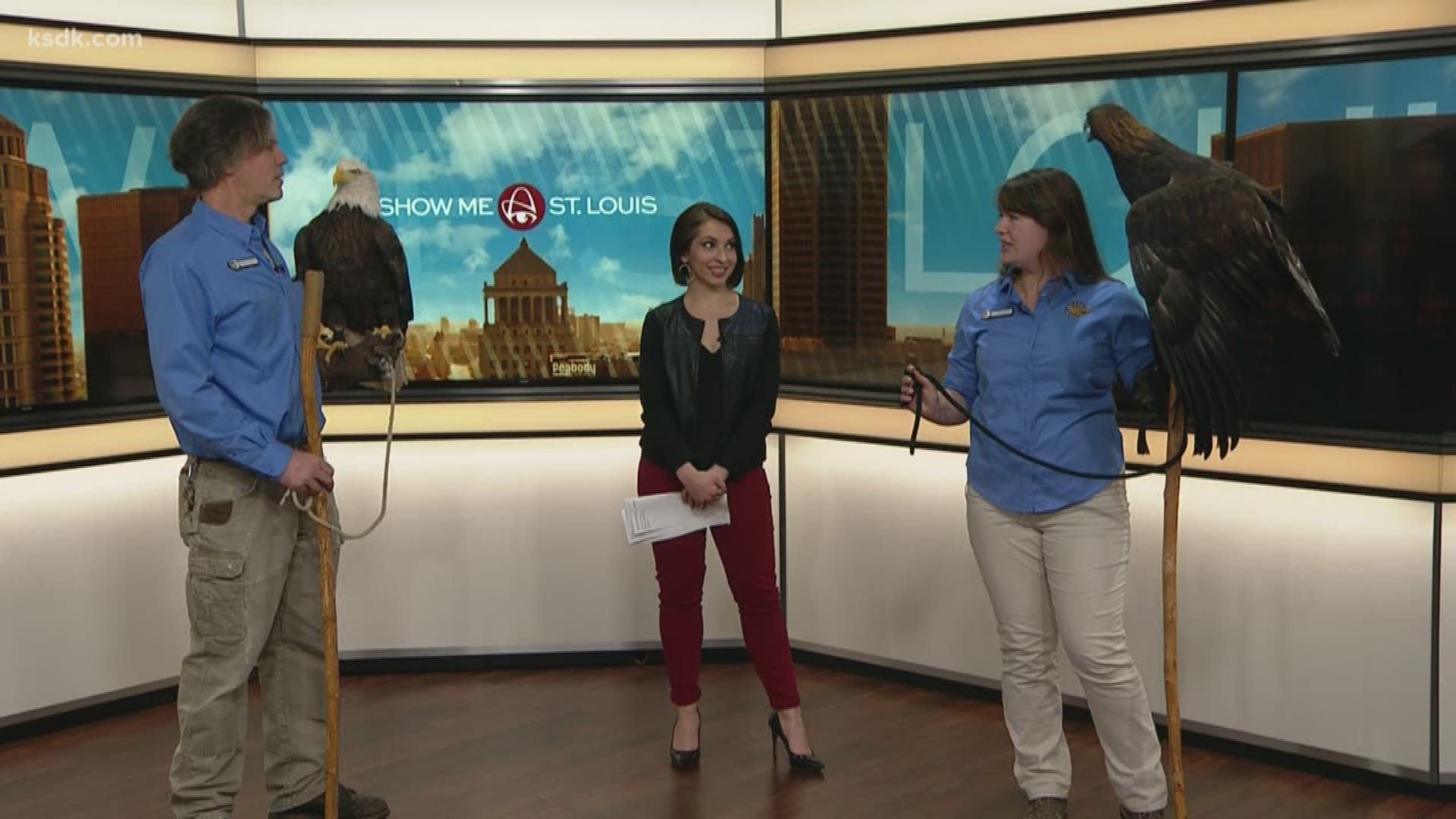 It’s not every day we have two eagles in the studio.