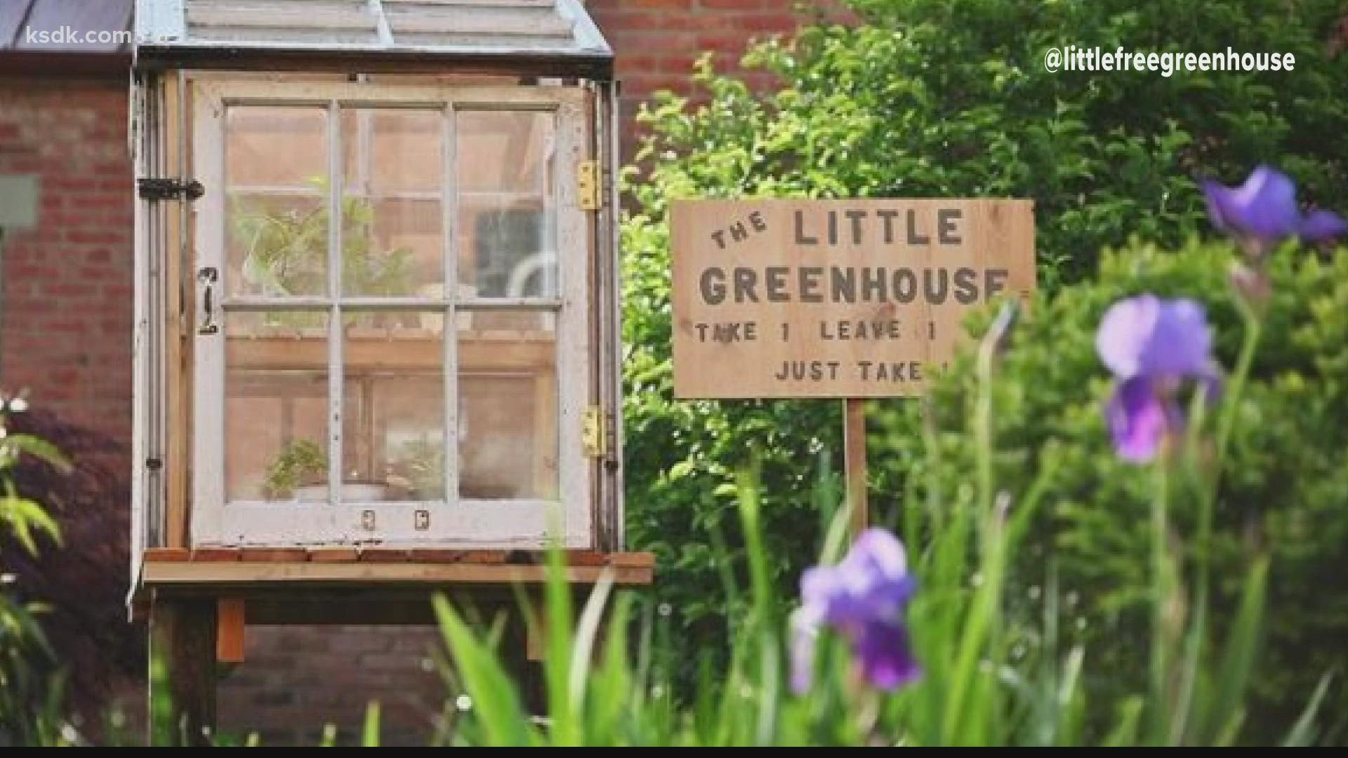 A Florissant couple’s garden + little free library = Little Free Greenhouse