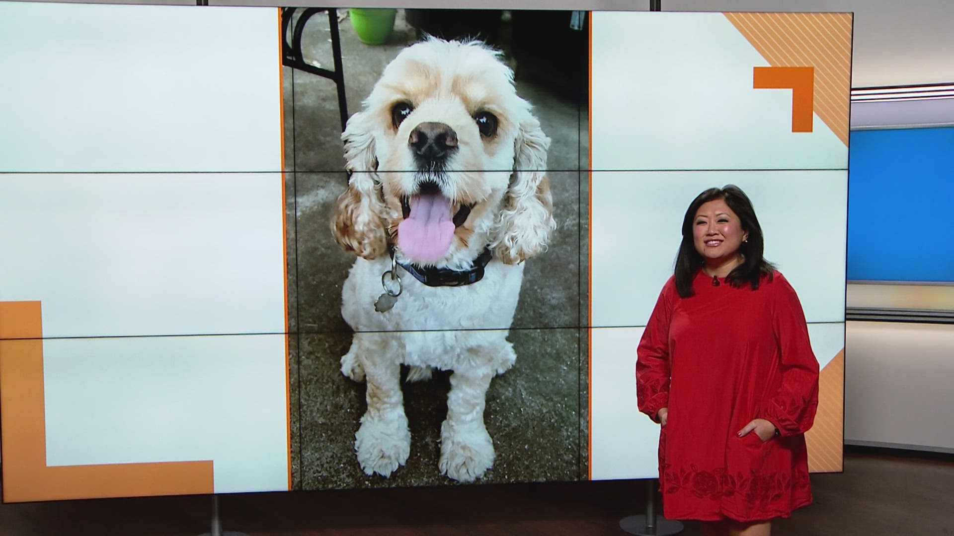 Sammy's Stars: Nov. 15, 2023 | ksdk.com