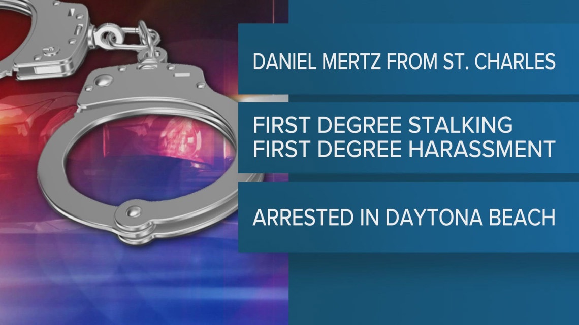 Grandson charged with murder in stabbing of grandmother, two dogs in St ...