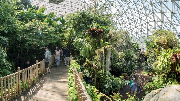 Missouri Botanical Garden To Make Transformative Announcement