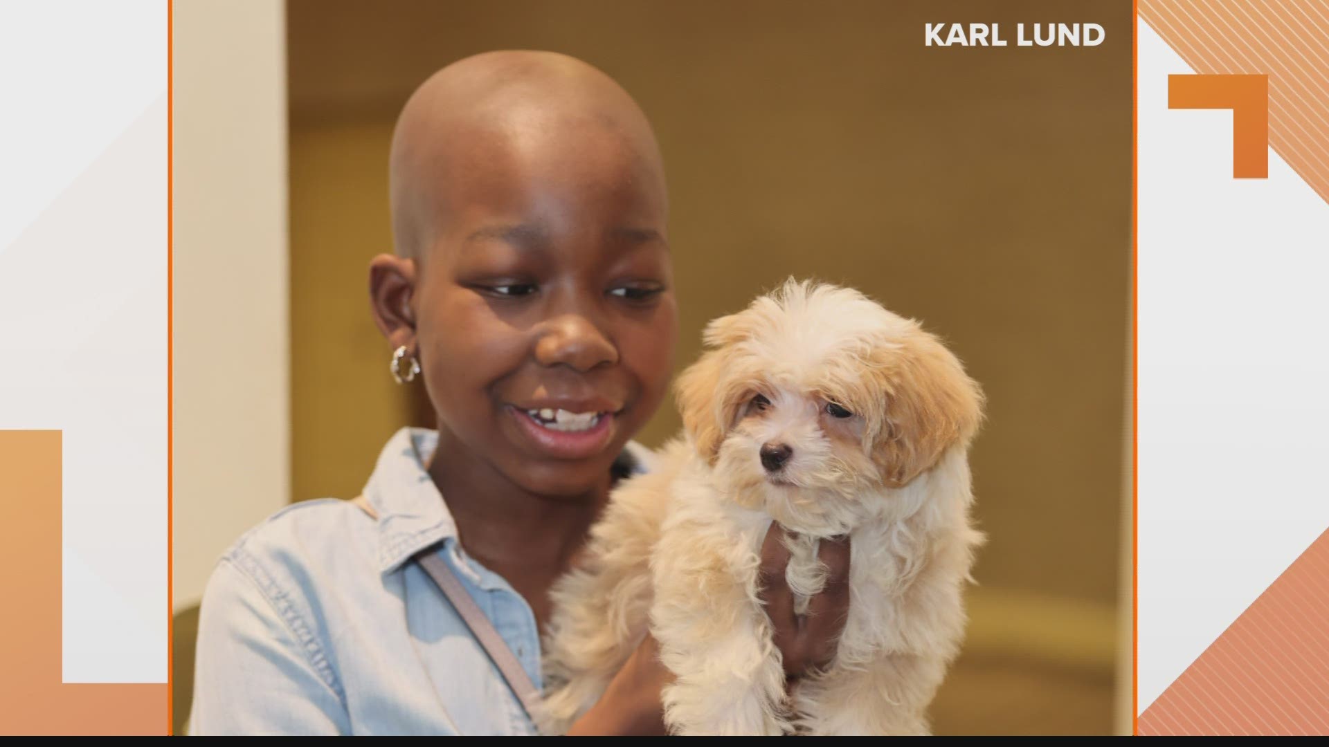 Iliana is 13 years old and out of treatment options. Her new puppy may be fewer than 3 pounds, but he's giving her the will and strength to continue the fight.