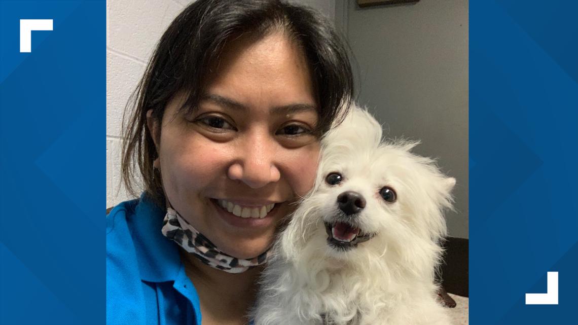 the woman trying to find homes for St. Louis' surrendered pets - Vimarsana News