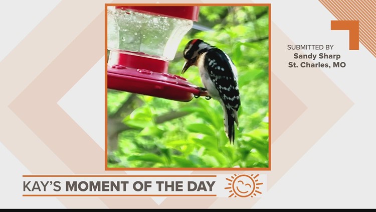 Kay's Moment of the Day for May 16, 2022
