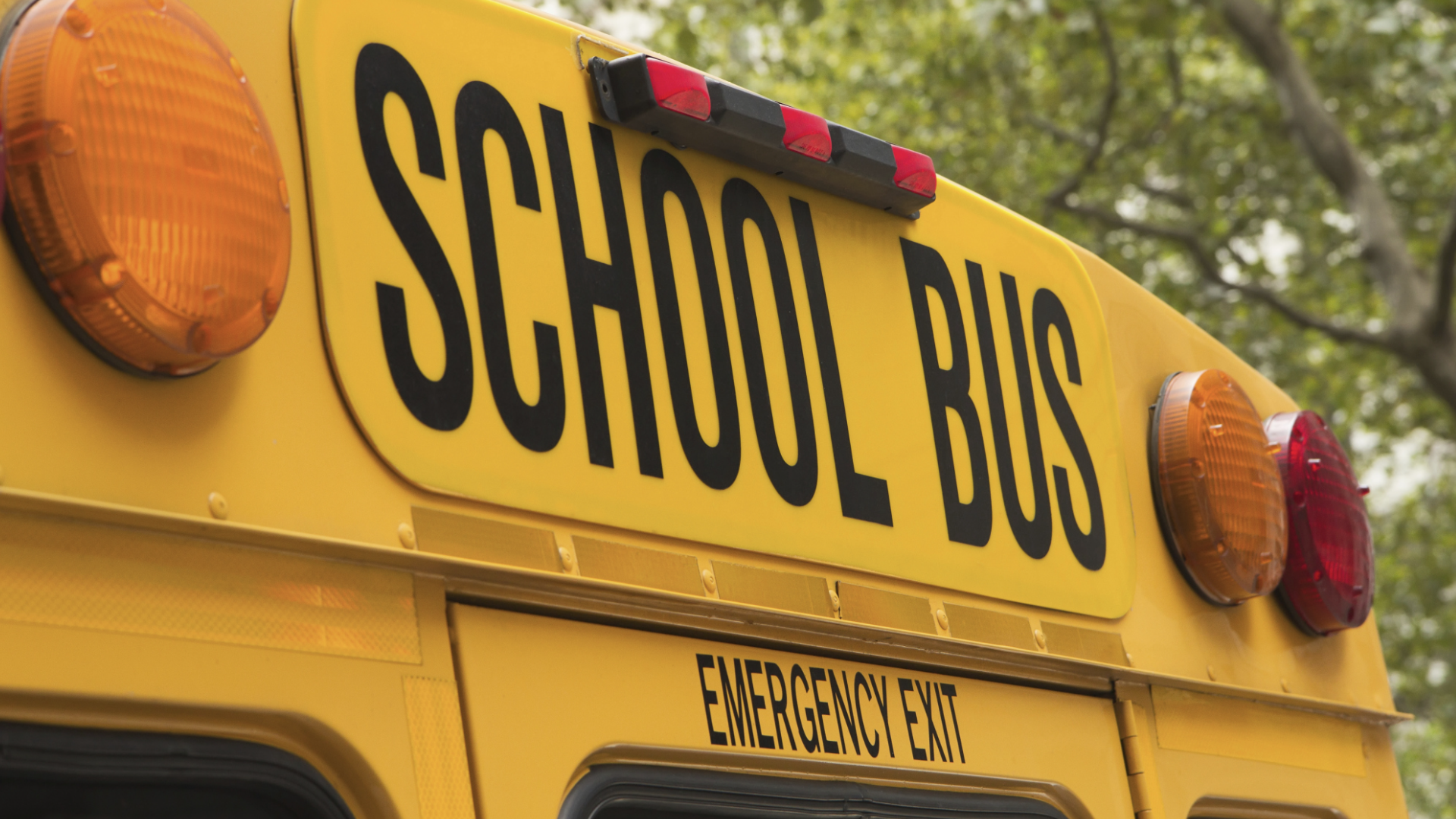 Police detain Hazelwood bus driver after alleged fight with two minors ...
