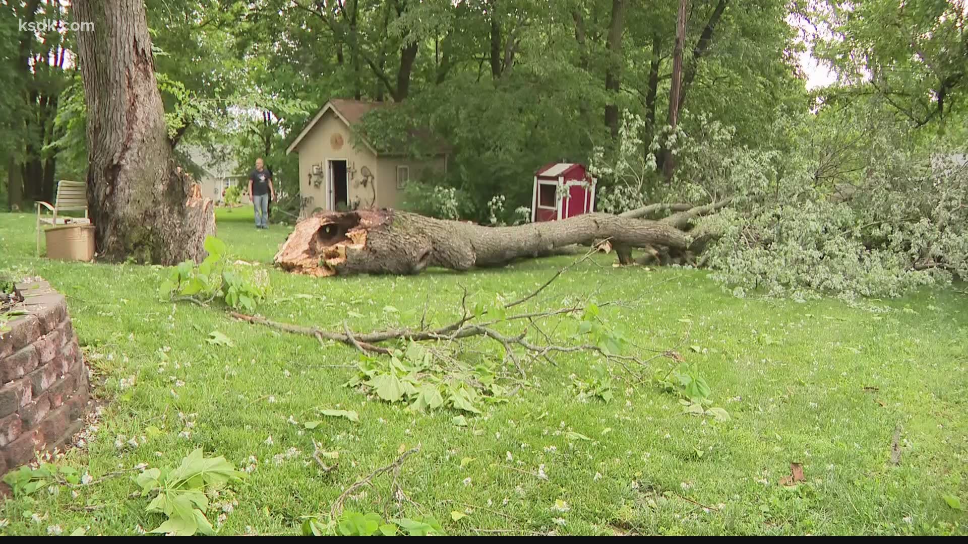 Gusty winds cause some uprooted trees and downed branches in Wentzville