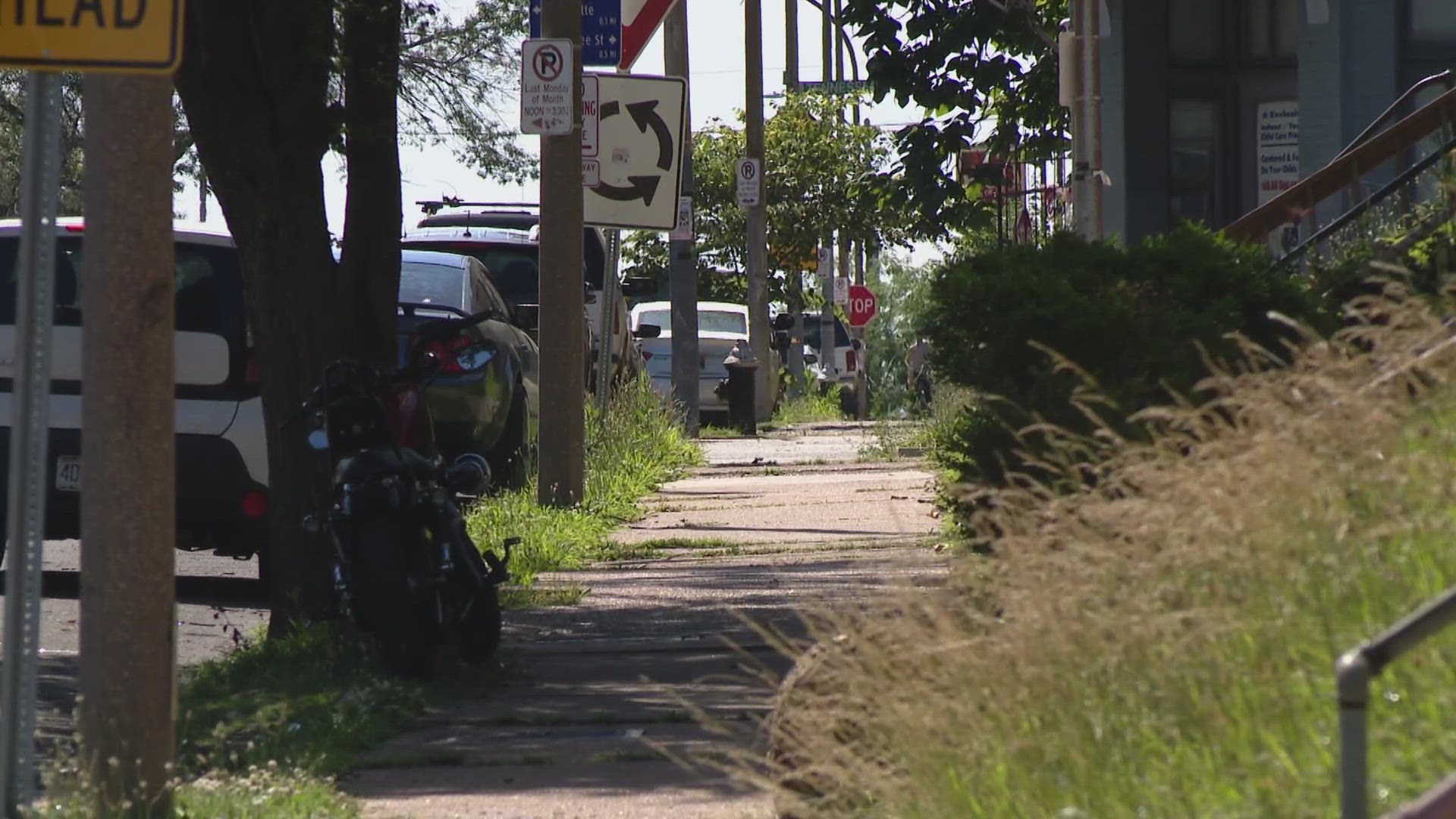 "That's just sickening and upsetting what he's doing. He will stand out and I hope police catch him," said one neighbor.