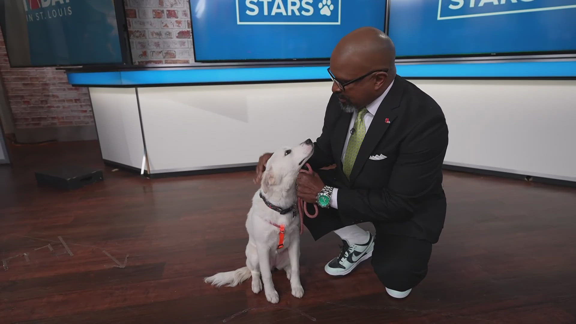 Sammy's Stars: Jan. 30, 2025 | ksdk.com