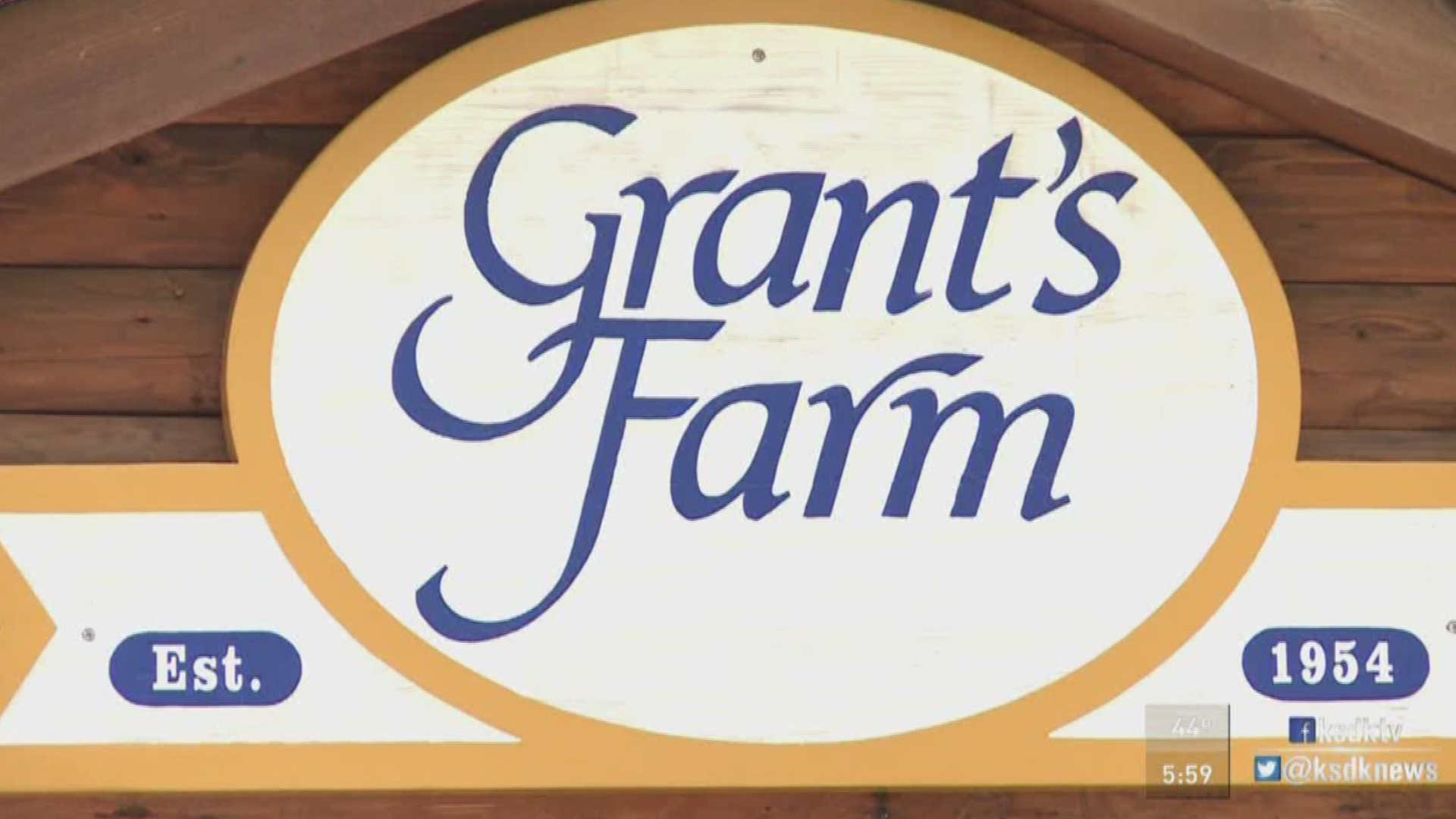 Grant