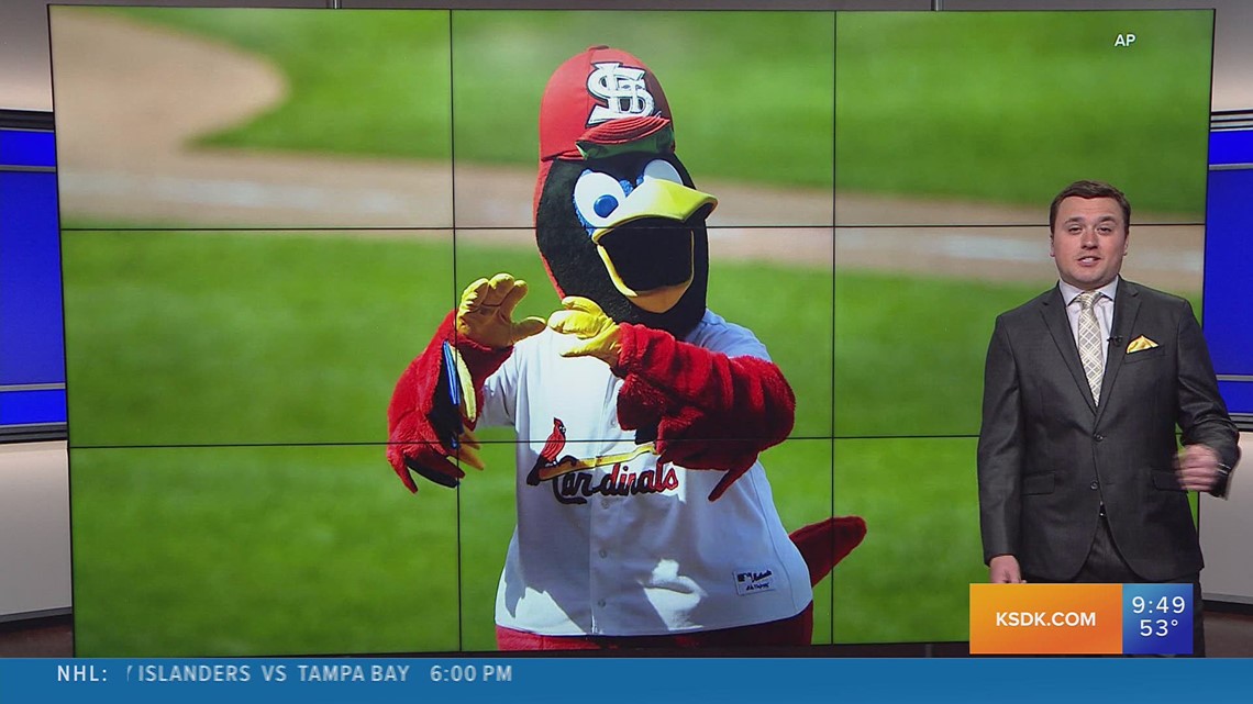 Meet the St. Louis Cardinals Fredbird!