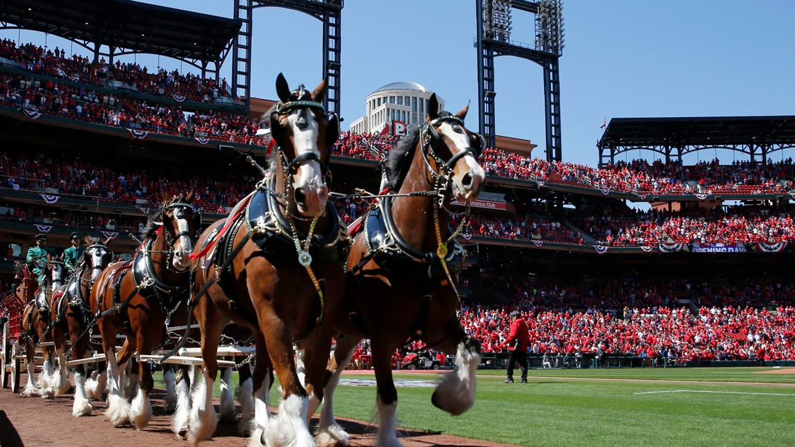 Opening Day in St. Louis is more special in 2021