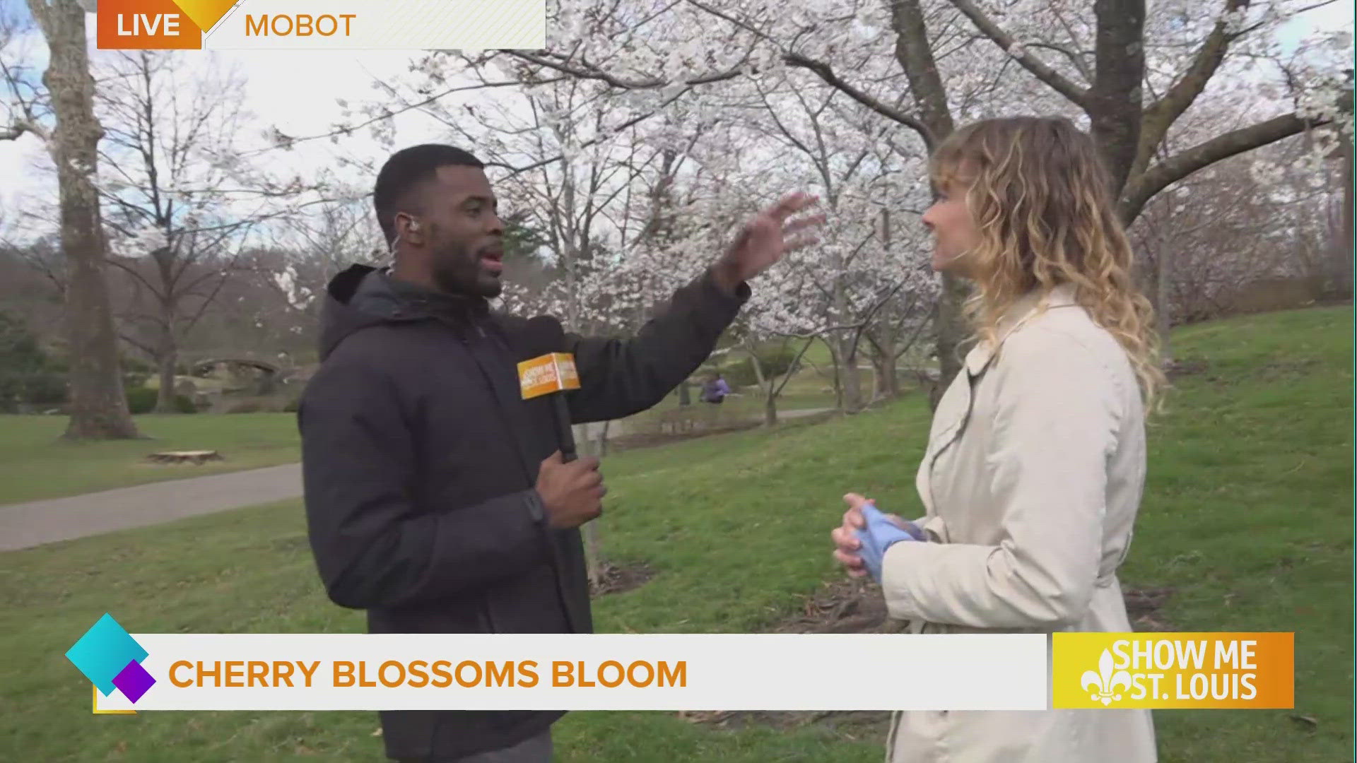 Bask in cherry blossoms and other early spring blooms during special evening hours.