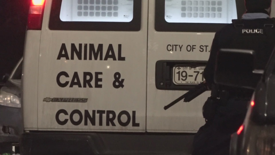 St. Louis circuit attorney seeks help in deadly dog attack probe