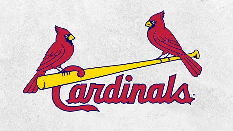 Cardinals donate more than $150,000 in grants to local groups ...