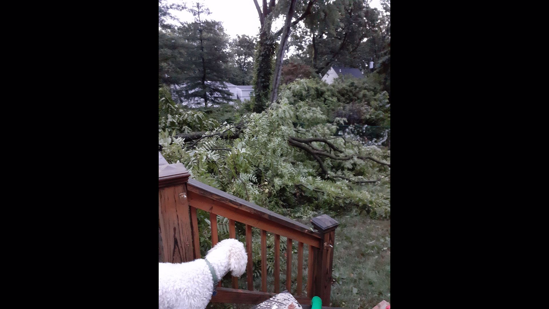 Thousands without power after strong storms | ksdk.com