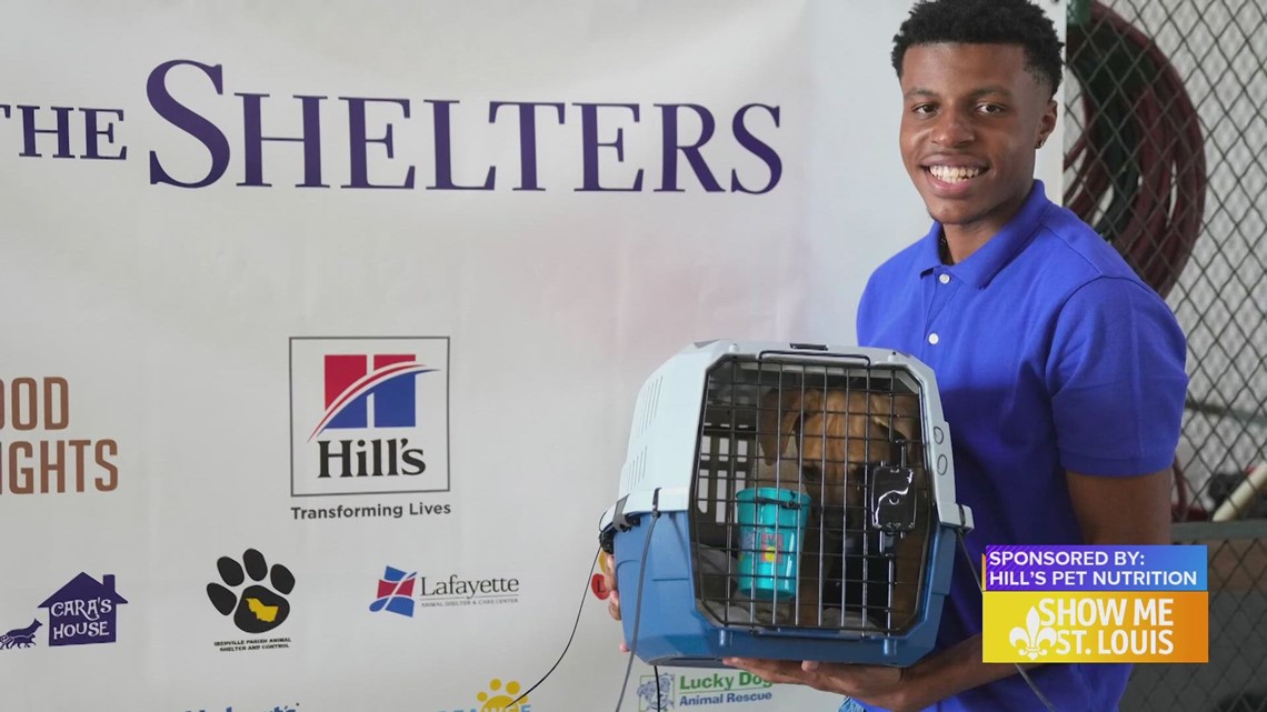 Sponsored Helping End Pet Homelessness Clear the Shelters Monthlong