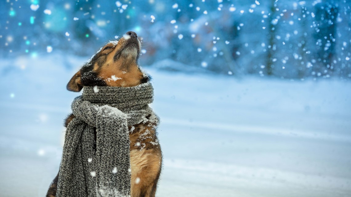 When will it snow in St. Louis? - Vimarsana News