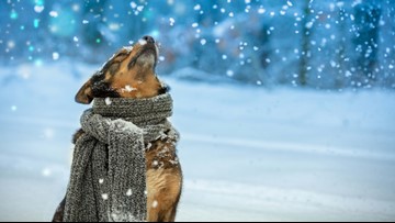 Groundhog Day winter storm to impact the Midwest