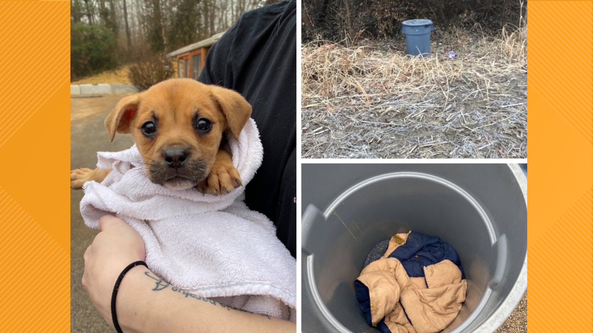 The Metro East Humane Society said it is unclear how long the puppy was kept in the trash can.