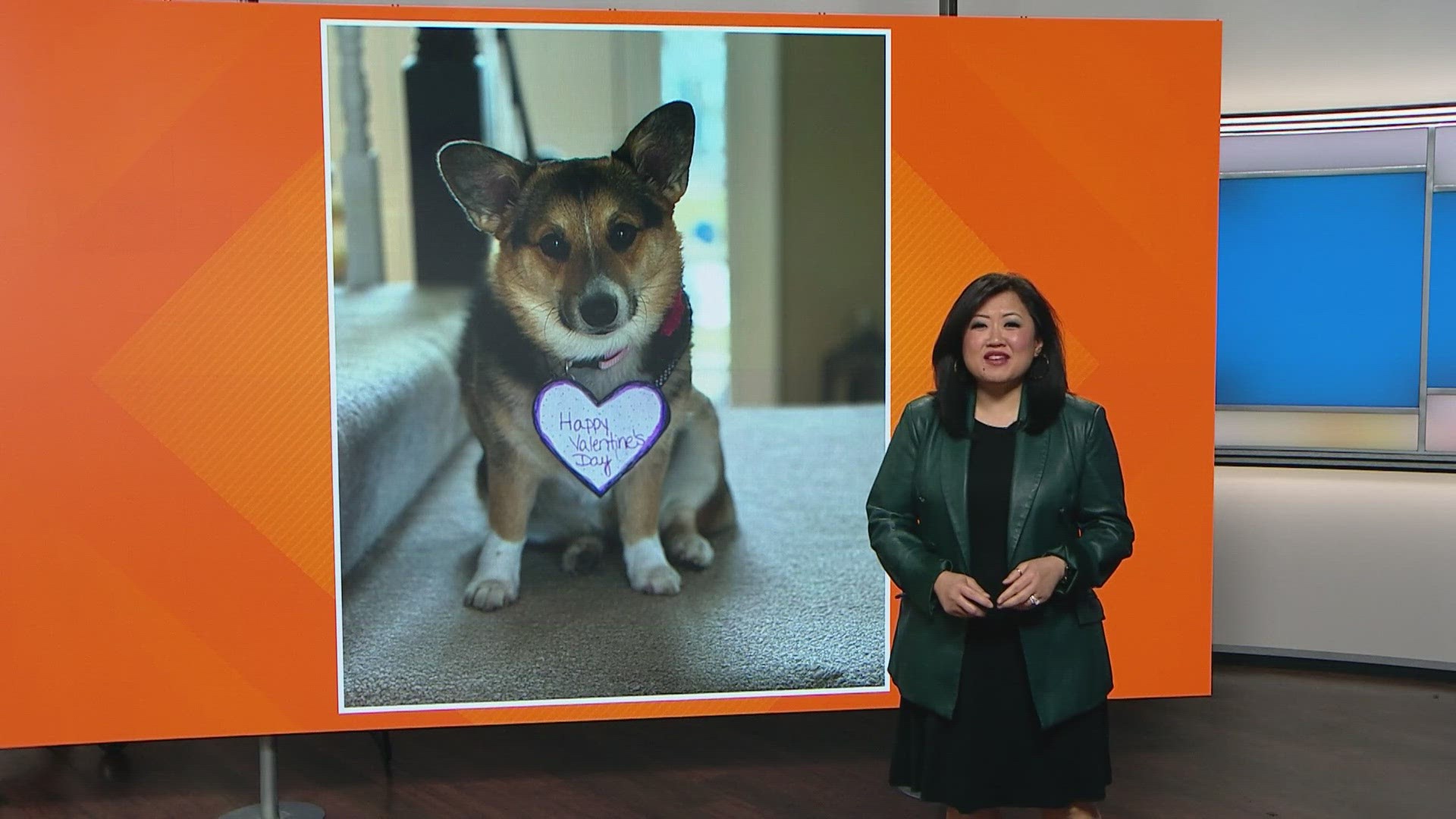 Sammy's Stars: Feb. 15, 2024 | ksdk.com