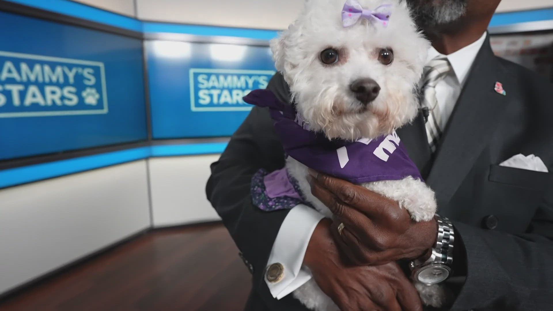 Sammy's Stars: June 13, 2025 | ksdk.com