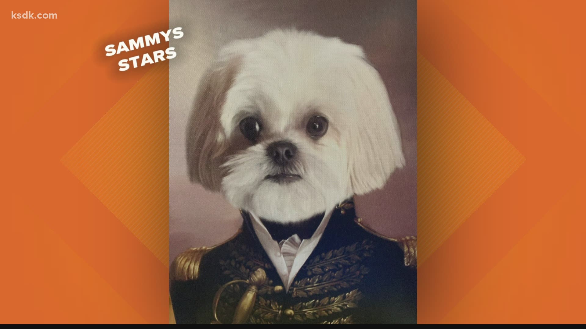 Sammy's Stars: Nov. 19, 2020