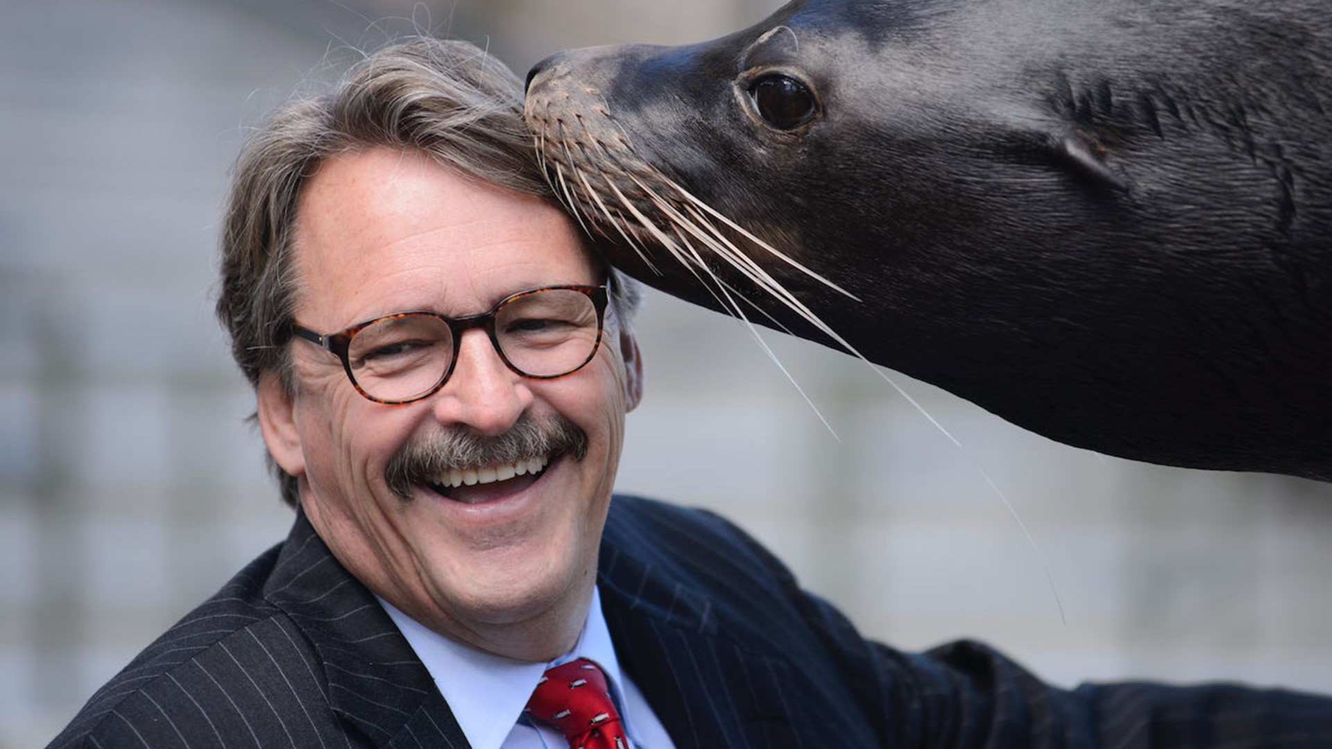 Saint Louis Zoo president and CEO to retire | ksdk.com