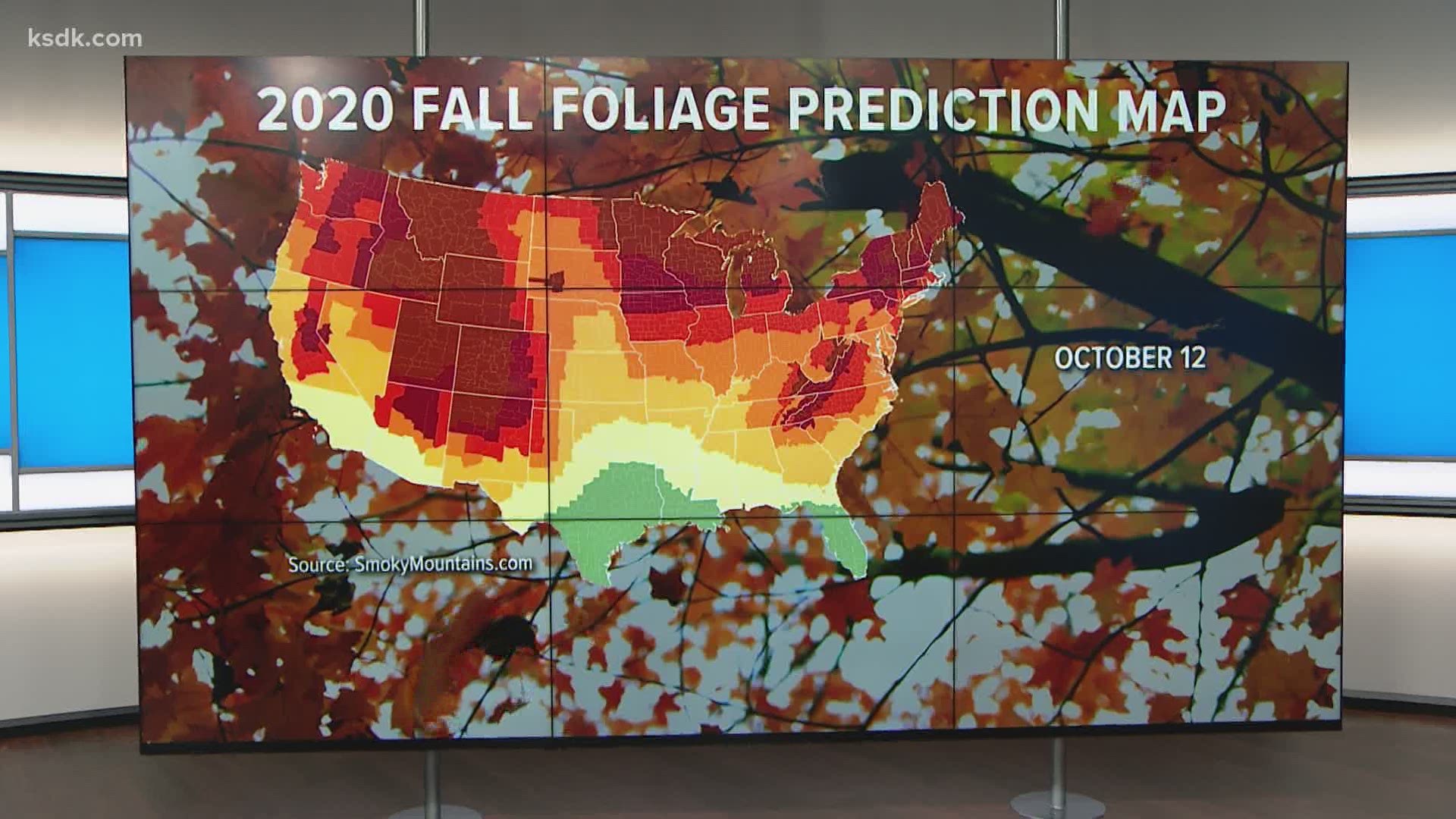 Thinking about a road trip? Here's when the fall foliage will be at its best throughout the U.S.
