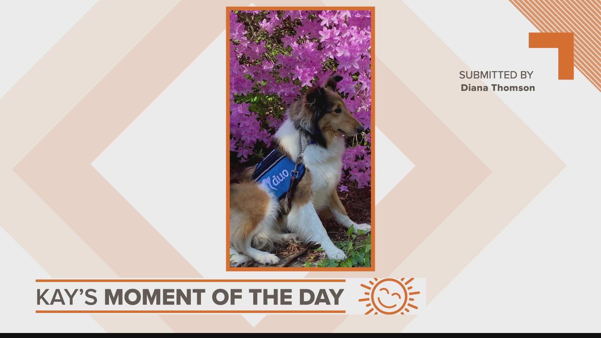 Kay's Moment of the Day: 5/4/2022