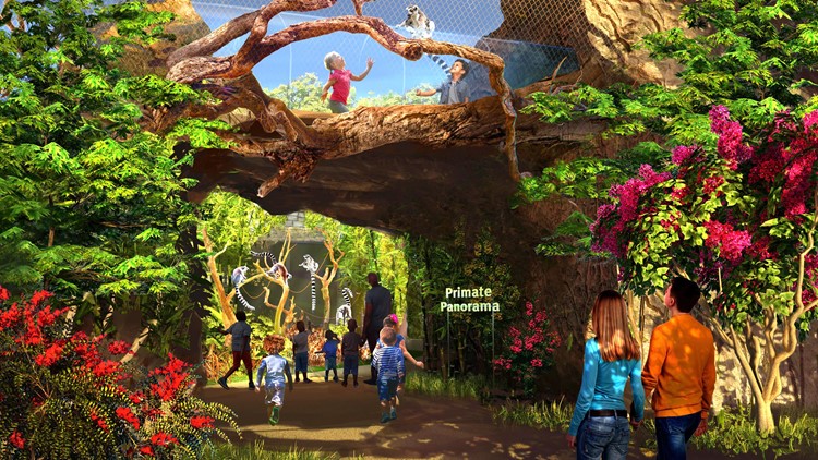 Saint Louis Zoo debuts plans for outdoor primate exhibit | literacybasics.ca