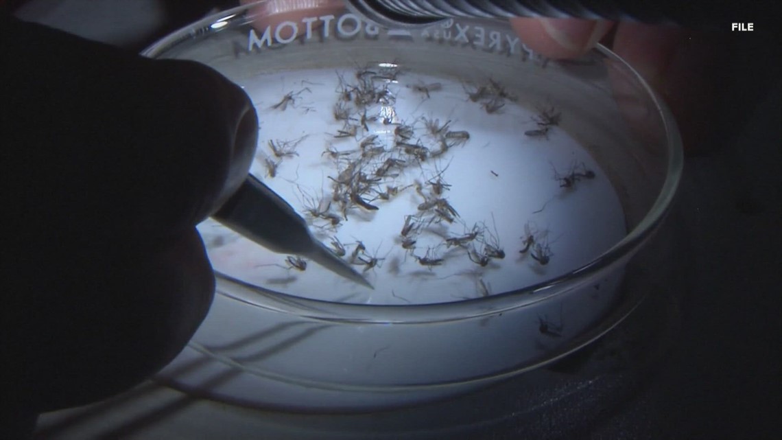 St. Louis-area mosquito season expected to be bad this year - Vimarsana News