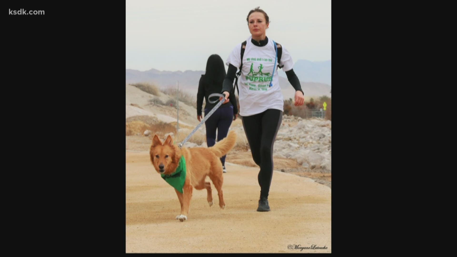The Pup Run is Saturday, March 14, 2020 in Forest Park. For more information and to register, visit PupRunUSA.com.