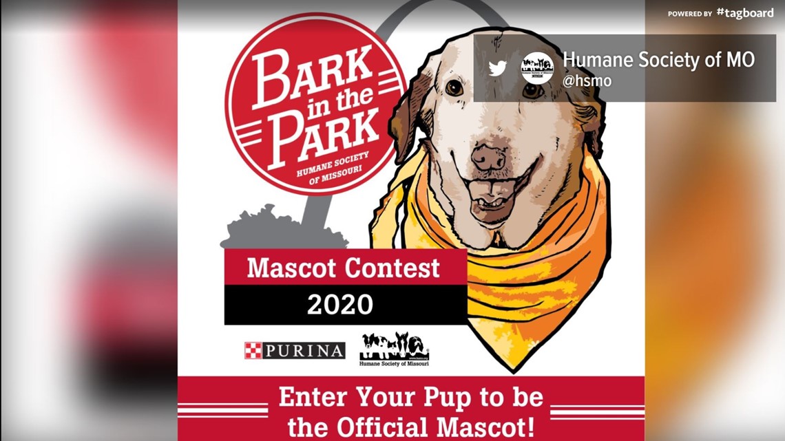 stl news Bark in the Park hosts mascot contest