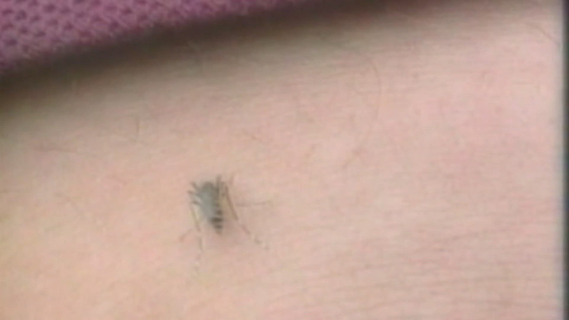 The virus was detected in mosquitoes in both north and west St. Louis County.