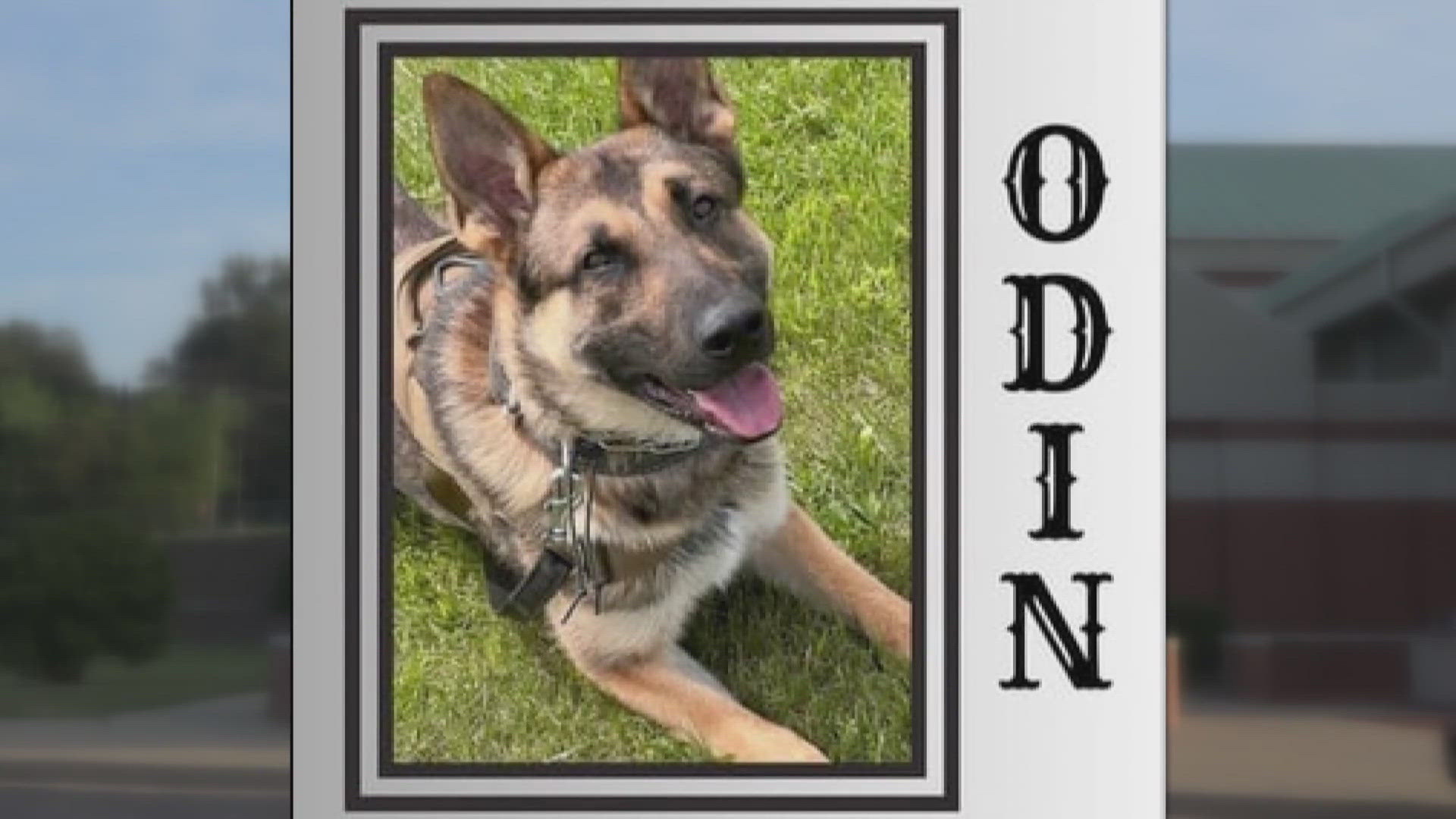 The community mourned the loss of K-9 officer Odin of the Alton Police Department. The investigation into the shooting continued.