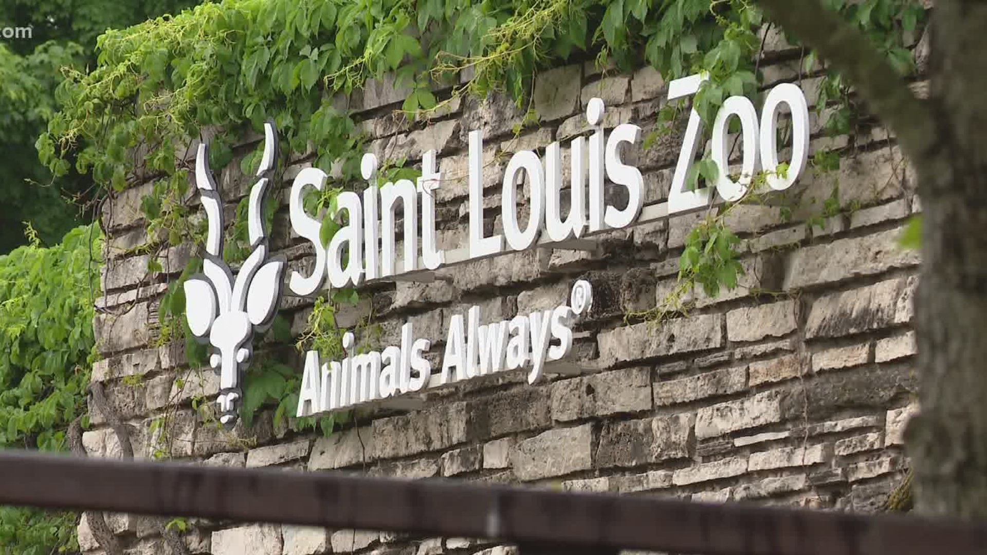 "We want our guests to be safe, we want our guests to be safe and we want our animals to be safe."