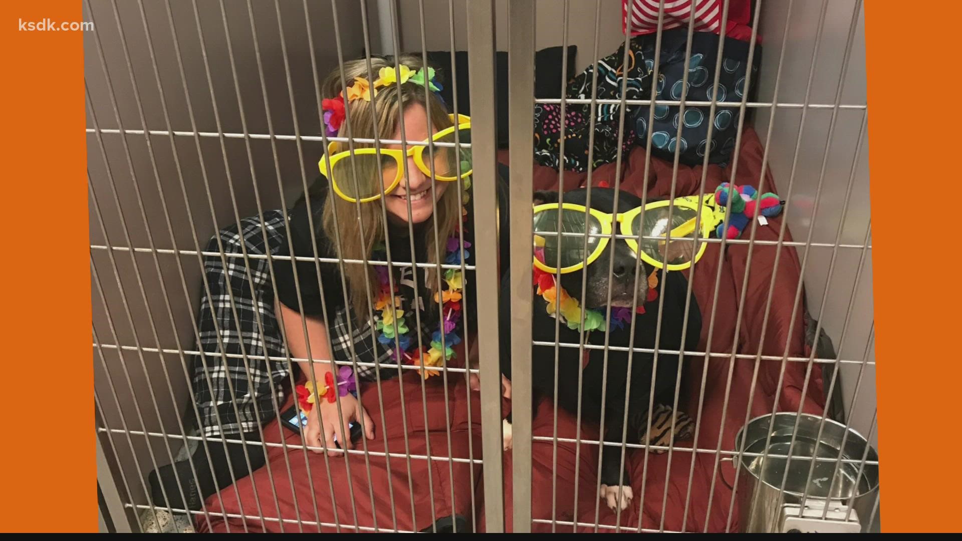 St Louis-based Purina has been sponsoring a slumber "pawty" since 2017. This weekend you can help them raise thousands for 17 area animal shelters.