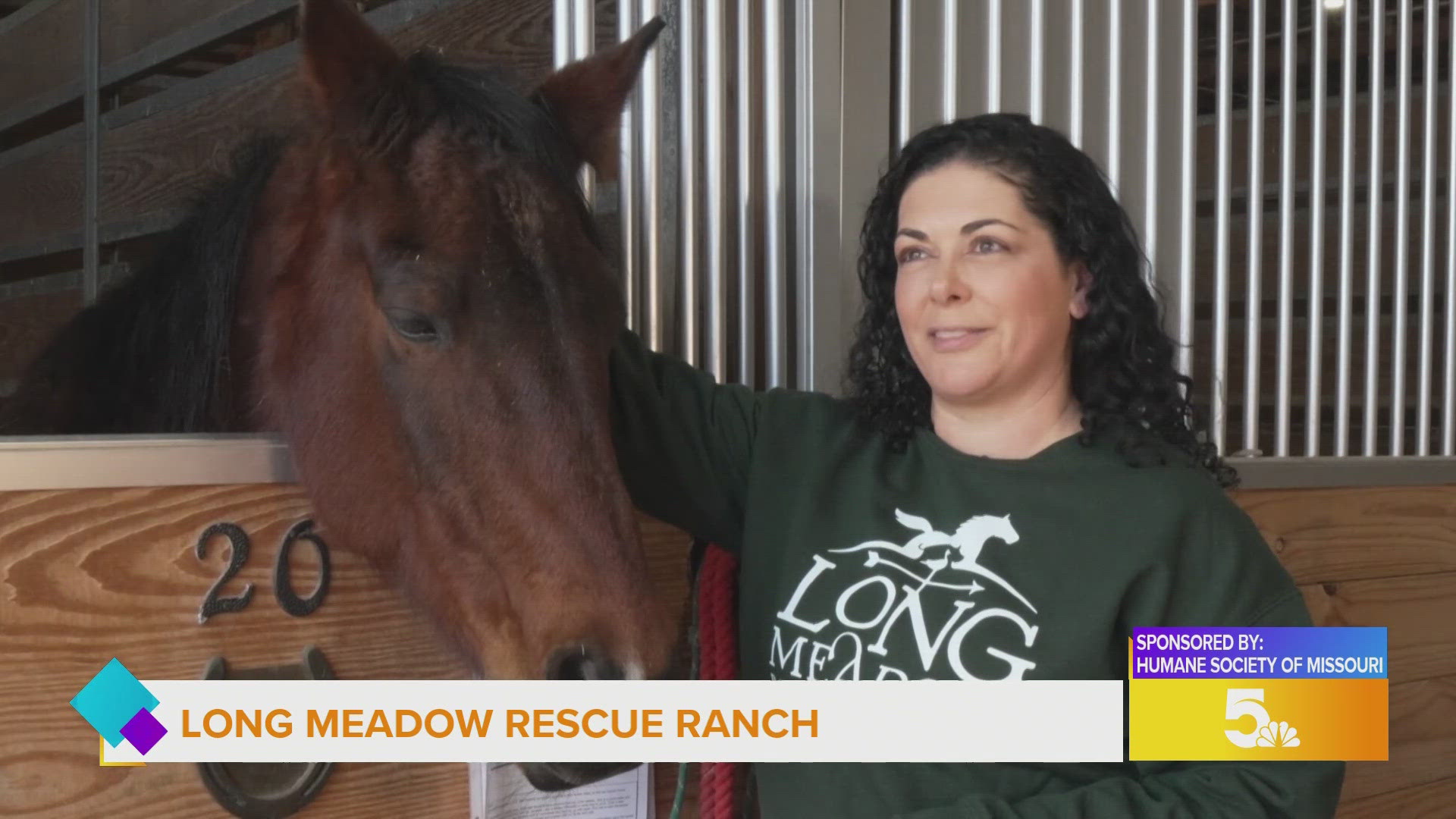 Sponsored: Humane Society Day of Giving to impact Longmeadow Rescue ...
