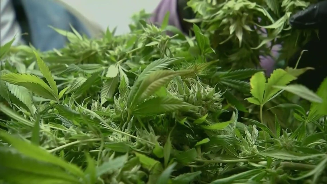 Health Dept.: Recreational marijuana on sale in Missouri Friday - Vimarsana News
