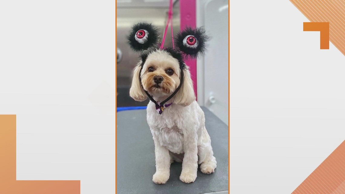 Sammy's Stars: October 17, 2022 | ksdk.com