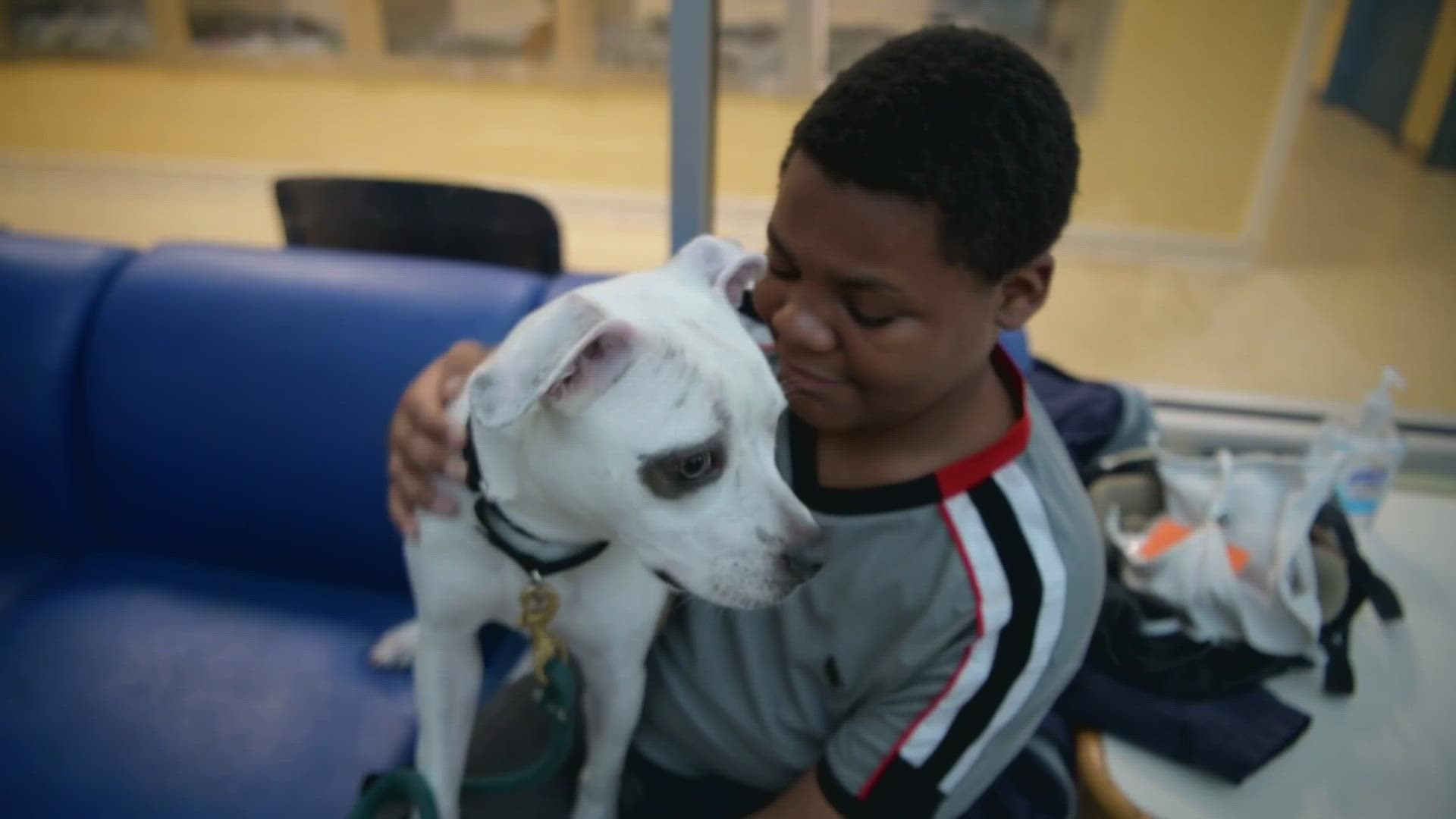 They called him the puppy whisper!  In Today's A Place to Call Home, 12-year-old Denzel and Anthony Slaughter spend the day playing with some four-legged friends.