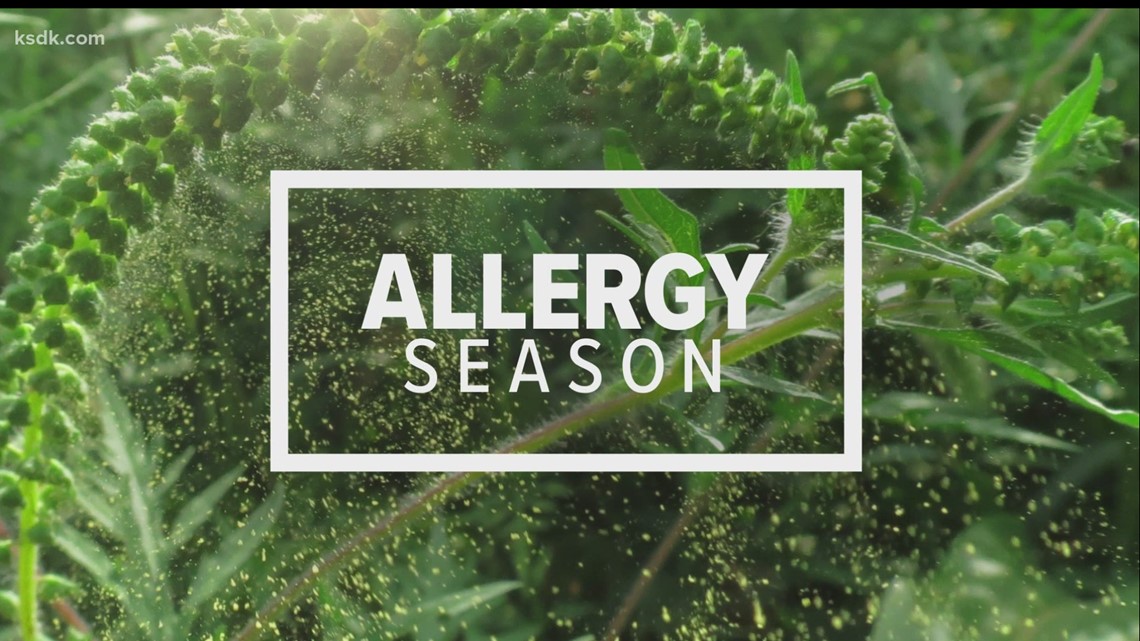 Consumer Reports: Separating allergies from COVID-19 - Vimarsana News
