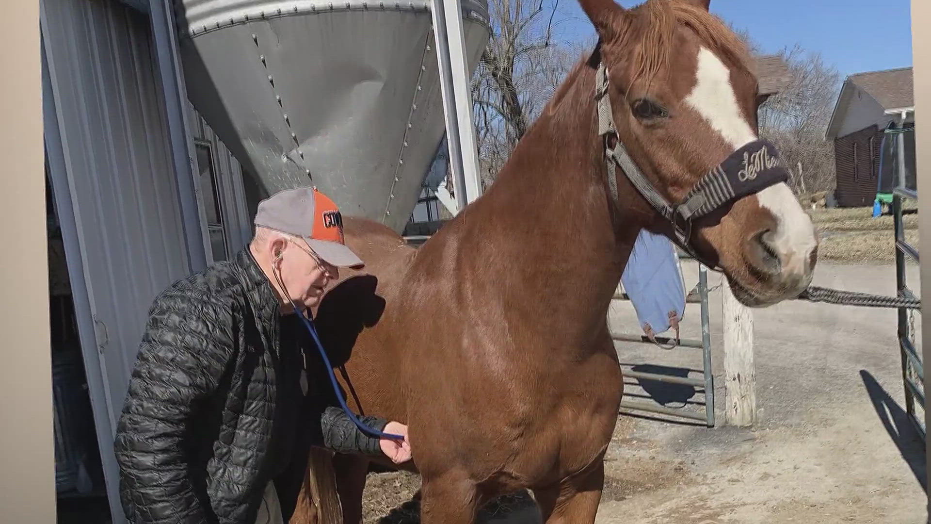 Dr. Thomas Loafmann has treated horses for more than 60 years. 5 On Your Side's Kelly Jackson visited Dr. "T-Lo" at his ranch in Lesterville, Missouri.