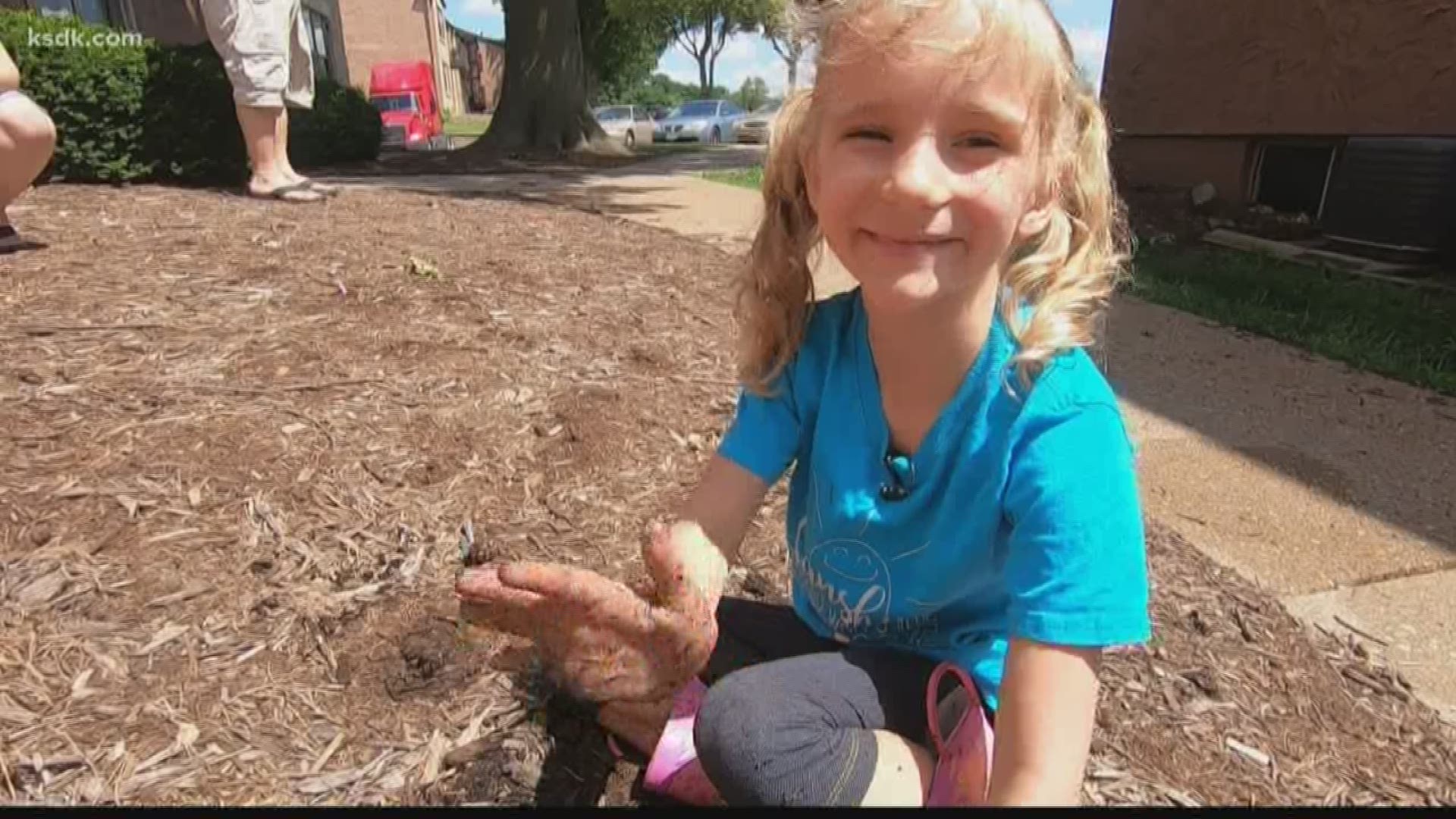 Thieves trying to steal a little girl's toy car wound up ruining her favorite thing in the entire world. Luckily, the community stepped in.