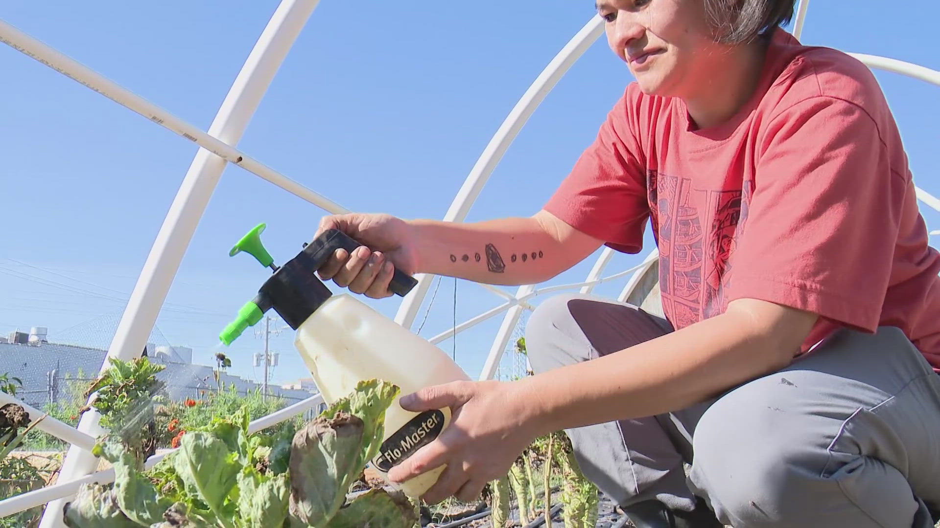 The Missouri Department of Agriculture is awarding $50,000 to nonprofits addressing food insecurity. The grants went to five St. Louis-area groups.