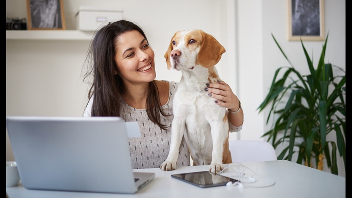 can you claim your dog on your tax return