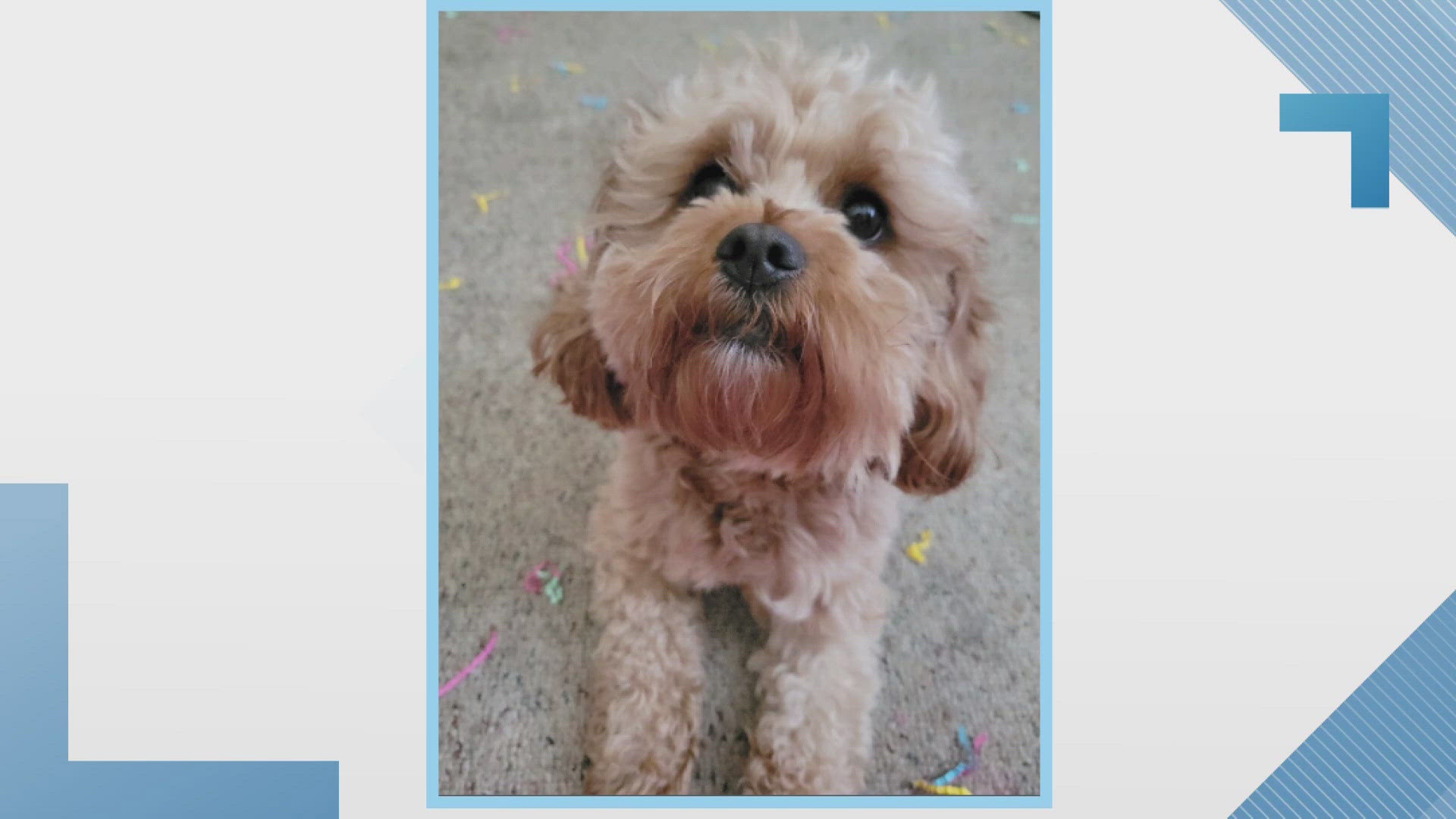 Sammy's Stars: Aug. 16, 2024 | ksdk.com