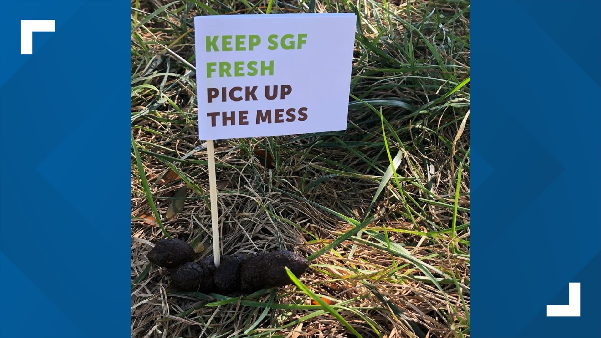 Springfield, Missouri, police using flags as 'a nudge to pick up the